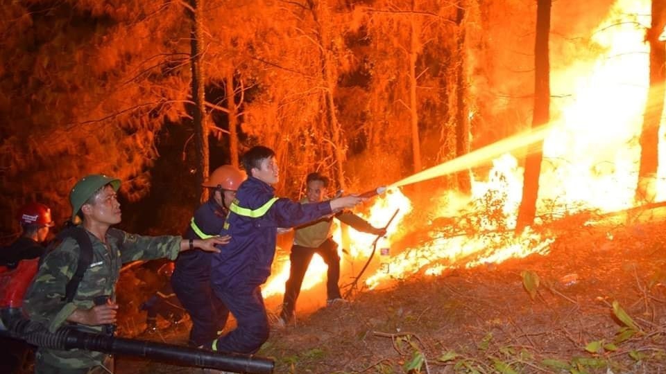 Công điện của Thủ tướng về tăng cường các biện pháp cấp bách phòng cháy, chữa cháy rừng