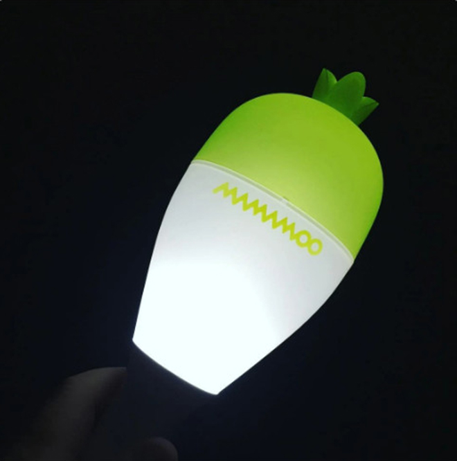 K-pop, IU, EXO, MOMOLAND, SEVENTEEN, MAMAMOO, Stray Kids, Gậy ánh sáng, Light Stick