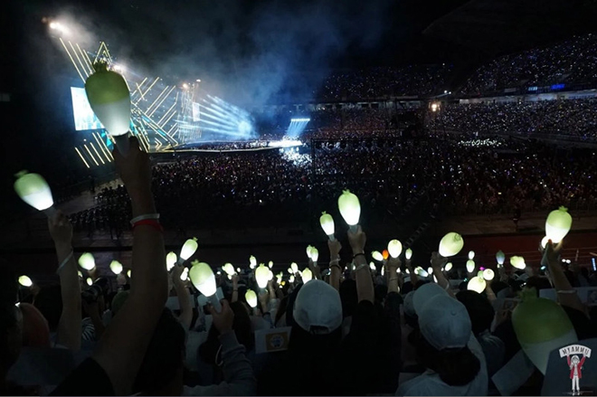 K-pop, IU, EXO, MOMOLAND, SEVENTEEN, MAMAMOO, Stray Kids, Gậy ánh sáng, Light Stick