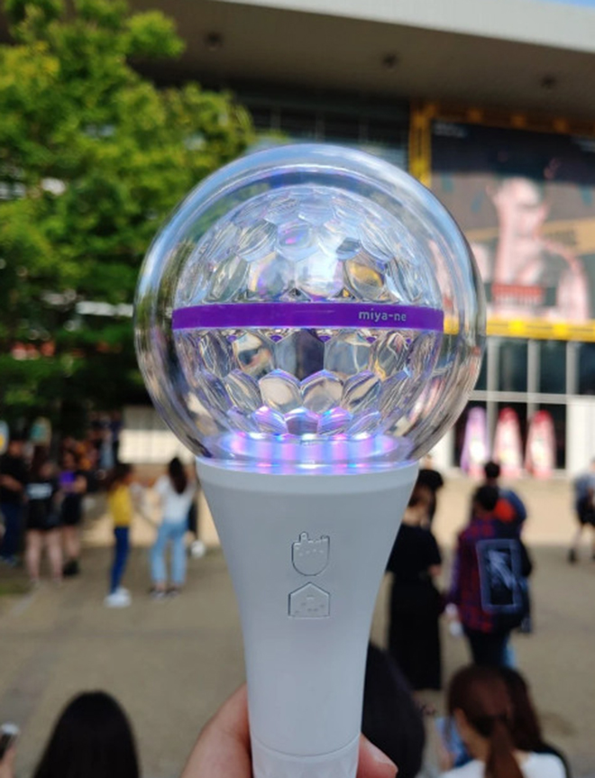 K-pop, IU, EXO, MOMOLAND, SEVENTEEN, MAMAMOO, Stray Kids, Gậy ánh sáng, Light Stick