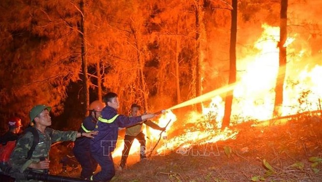 Cháy rừng ở Hà Tĩnh: Đám cháy lại bùng phát tại xã Xuân Hồng​