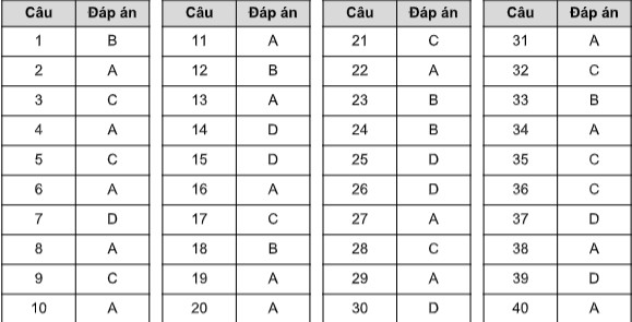 Đáp án Đề minh họa, Đáp án Đề thi minh họa, Đề thi minh họa, Đề minh họa, Đáp án Đề thi minh họa 2020, Đáp án Đề minh họa 2020, đáp án đề minh họa, đáp án đề thi minh họa