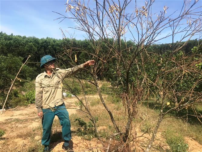 Dự báo thời tiết, Thời tiết, Nhiệt độ Hà Nội, Nhiệt độ, du bao thoi tiet, thời tiết ngày mai, thời tiết Hà Nội, Thời tiết tháng tới. Nắng nóng bao giờ kết thúc