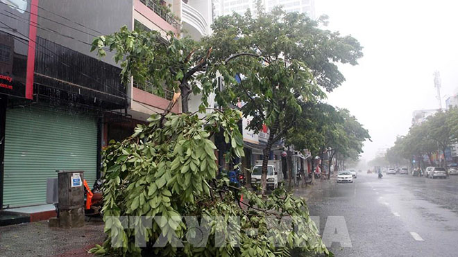 Áp thấp nhiệt đới sắp mạnh lên thành bão, cách bờ biển Khánh Hòa 500km