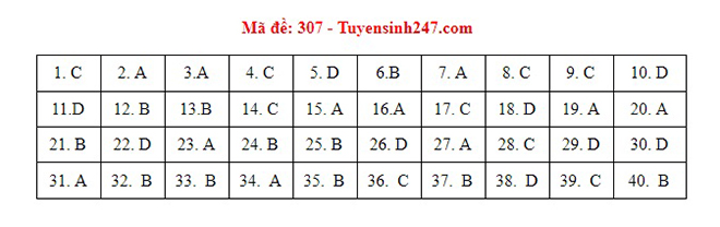 Đáp án Sử, Đáp án môn Sử, Đáp án Sử THPT Quốc gia 2021, Đáp án Sử 2021, Đáp án Sử THPT Quốc gia 2021, Đáp án 24 mã đề môn Sử, Đáp án Sử tất cả mã đề