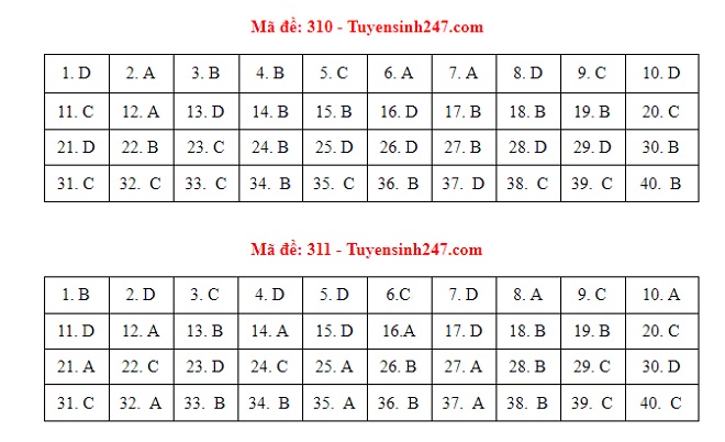 Đáp án Sử, Đáp án môn Sử, Đáp án Sử THPT Quốc gia 2021, Đáp án Sử 2021, Đáp án Sử THPT Quốc gia 2021, Đáp án 24 mã đề môn Sử, Đáp án Sử tất cả mã đề