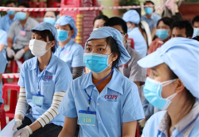 Dich Covid-19, Covid-19 mới nhất, Ca nhiễm covid mới, Covid mới nhất ngày 15 8, covid hôm nay, covid ở tp hcm, số ca nhiễm covid 19, covid ở hà nội, ca tử vong vì covid