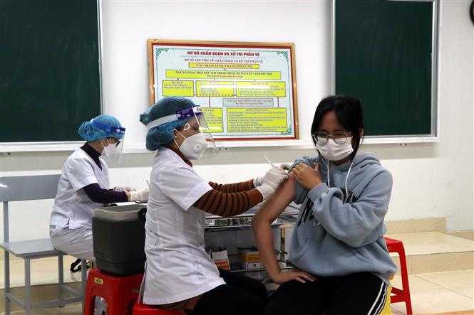 Dich Covid-19, Covid-19 mới nhất, Ca nhiễm covid mới, Covid mới nhất ngày 12 12, covid hôm nay, covid ở tp hcm, số ca nhiễm covid 19, covid ở hà nội, ca tử vong vì covid