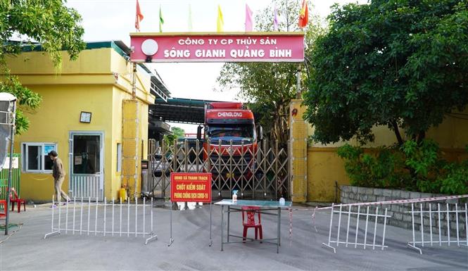 Dich Covid-19, Covid-19 mới nhất, Ca nhiễm covid mới, Covid mới nhất ngày 5 12, covid hôm nay, covid ở tp hcm, số ca nhiễm covid 19, covid ở hà nội, ca tử vong vì covid