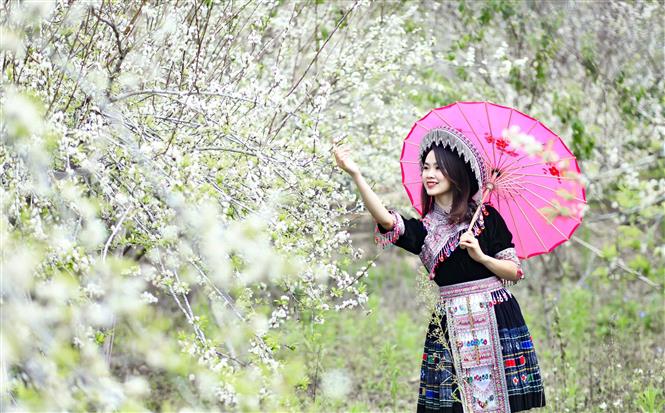 hướng xuất hành, hướng xuất hành 2022, hướng xuất hành năm 2022, giờ xuất hành tết 2022, ngày giờ xuất hành 2022, ngày tốt xuất hành 2022, xem ngày giờ xuất hành tết 2022