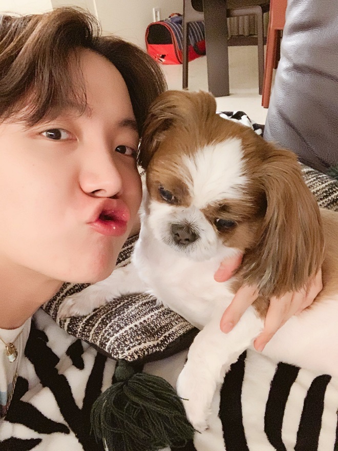 j-hope, bts, bts instagram, mickey j-hope, chó của j-hope, mickey và j-hope, j-hope family