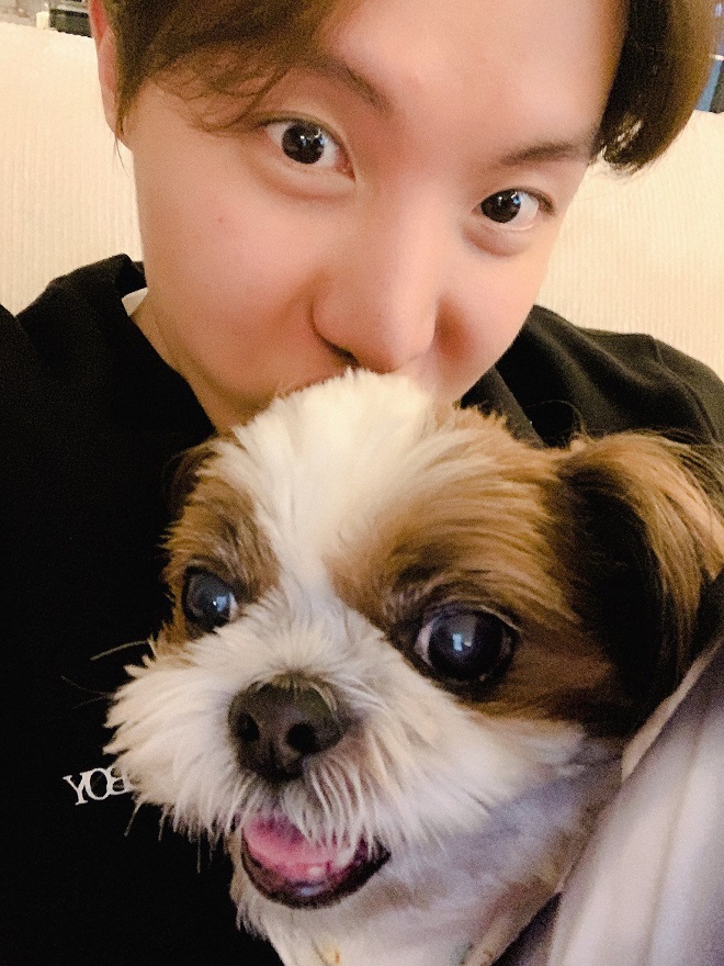 j-hope, bts, bts instagram, mickey j-hope, chó của j-hope, mickey và j-hope, j-hope family