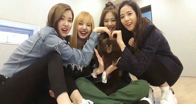 Blackpink, Jennie, Jisoo, Lisa, Rosé, thú cưng của Blackpink, biệt đội pet của blackpink