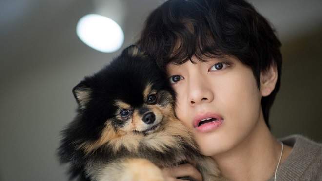 BTS, V, Jungkook, J-Hope, Jimin, Jin, Yeontan BTS, BTS và Yeontan, V BTS, V Yeontan, sinh nhật Yeontan, BTS video, mỹ nam đẹp trai nhất thế giới, V jungkook, vkook