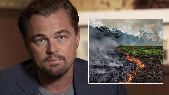 Tổng thống Brazil: 'Leonardo DiCaprio, anh đang tài trợ đốt rừng Amazon đấy'