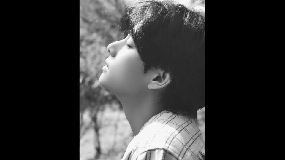 BTS, V BTS, MV khác cho ca khúc Life Goes On, Chinh chiến và yêu đương của V BTS, Life Goes On, Kpop, ARMY