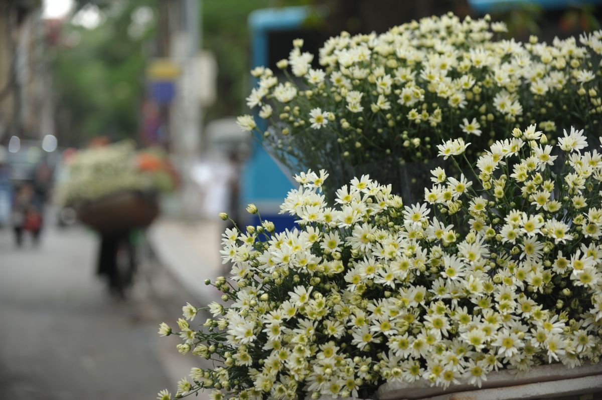 Dự báo thời tiết, Tin thời tiết, Tin thời tiết mới nhất, thời tiết hôm nay, thời tiết hà nội, không khí lạnh, gió mùa Đông bắc, cập nhật tin thời tiết, Hà Nội mưa dông