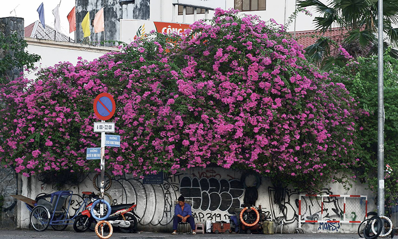 Dự báo thời tiết, Tin dự báo thời tiết, Tin thời tiết, Không khí lạnh, Thời tiết, thời tiết hôm nay, thời tiết mới nhất, gió mùa đông bắc, thời tiết hôm nay 10 11