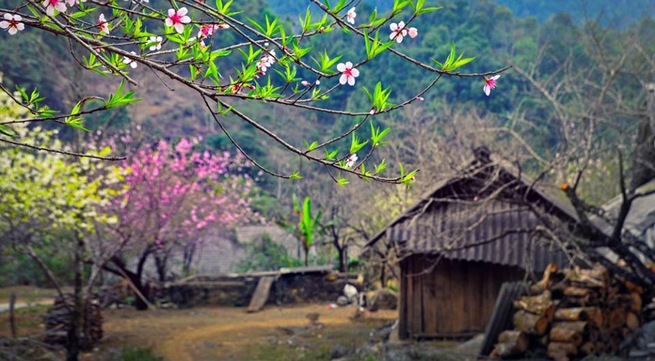 Thời tiết Tết, Thời tiết Tết Nguyên đán, Dự báo thời tiết Tết, Thời tiết tết âm lịch, Thời tiết tết kỷ hợi, Thời tiết Tết Nguyên đán 2019, Dự báo thời tiết tết 2019