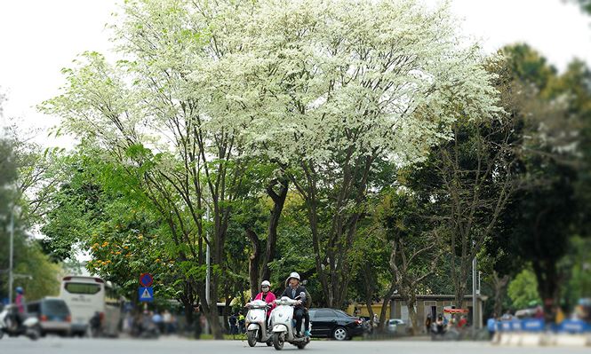 Dự báo thời tiết, Thời tiết hôm nay, Nồm ẩm, Trời Nồm ẩm đến bao giờ, Thời tiết, tin thời tiết, thời tiết mới nhất, không khí lạnh, thời tiết hà nội, thời tiết miền bắc