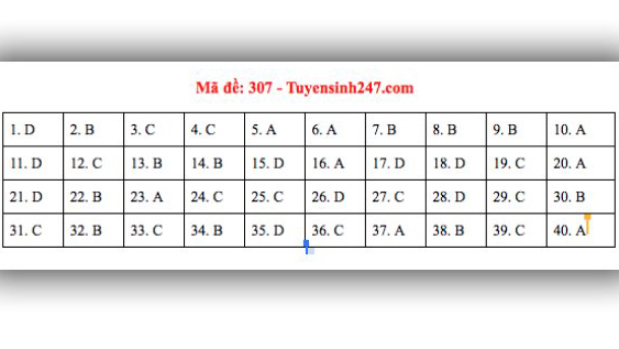 Đáp án lịch sử THPT Quốc gia 2019, Đáp án lịch sử THPT Quốc gia năm 2019, Đáp án lịch sử, đáp án môn lịch sử THPT Quốc gia, đáp án môn sử THPT Quốc gia, đáp án môn sử