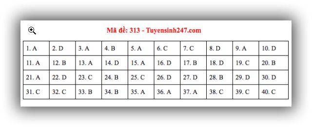 Đáp án lịch sử THPT Quốc gia 2019, Đáp án lịch sử THPT Quốc gia năm 2019, Đáp án lịch sử, đáp án môn lịch sử THPT Quốc gia, đáp án môn sử THPT Quốc gia, đáp án môn sử