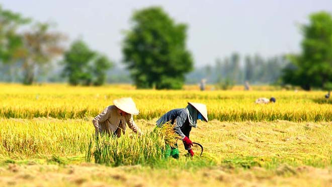 Dự báo thời tiết, Tin bão, Tin bão mới nhất, Du bao thoi tiet, du bao thoi tiet, thời tiết, thoi tiet, DỰ BÁO THỜI TIẾT, thời tiết hôm nay, tin tức, tin tuc, Thời tiết