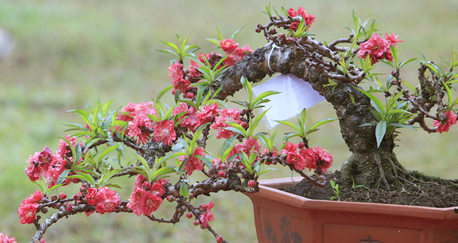 Bài cúng tất niên, Văn khấn Tất niên, Cúng tất niên, Bai cung tat nien, van khan tat nien, lấ tất niên, mâm cúng tất niên, bài cúng tất niên 2020, bài khấn tất niên