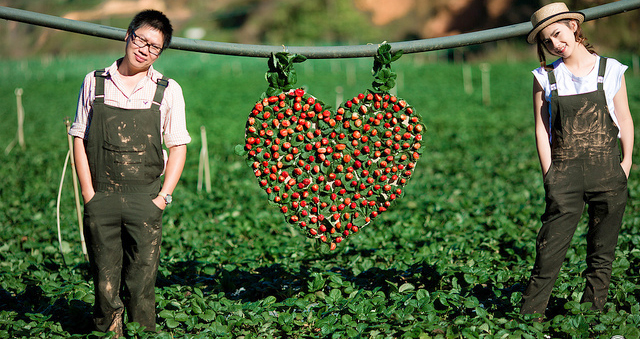 Quà Valentine, Quà Valentine 2020, Quà tặng Valentine, Valentine tặng gì, quà 14/2, quà tặng 14/2, quà tặng lễ tình nhân 2020, quà valentine, quà valentine 2020