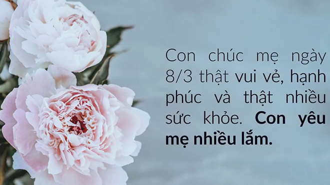 Lời chúc 8/3, Lời chúc 8-3, Lời chúc 8 3, Lời chúc 8/3 hay, Câu chúc 8/3, Câu chúc 8/3 hay ý nghĩa, Lời chúc 8/3 hay ý nghĩa, Lời chúc 8-3 hay, Chúc mừng 8/3, chúc 8/3