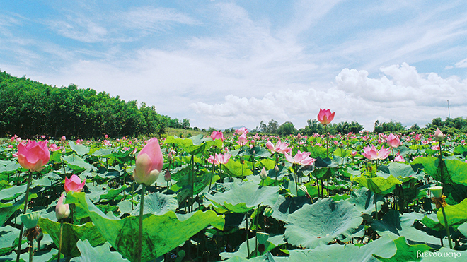 Thời tiết, thoi tiet, Dự báo thời tiết, Du bao thoi tiet, Thời tiết hôm nay, thời tiết 11/5, thời tiết hà nội, nhiệt độ, nhiệt độ hôm nay, dự báo thời tiết hôm nay