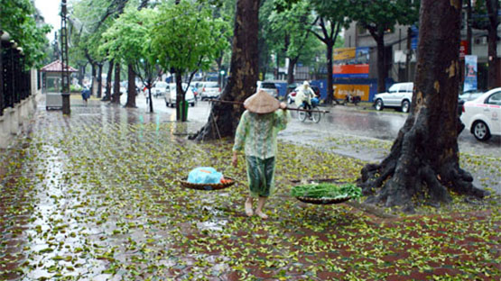 Dự báo thời tiết, Thời tiết, du bao thoi tiet, thoi tiet, Nhiệt độ Hà Nội, Nhiệt độ, thời tiết ngày mai, nhiet do, tin thời tiết, thời tiết Hà Nội, Nhiệt độ hôm nay