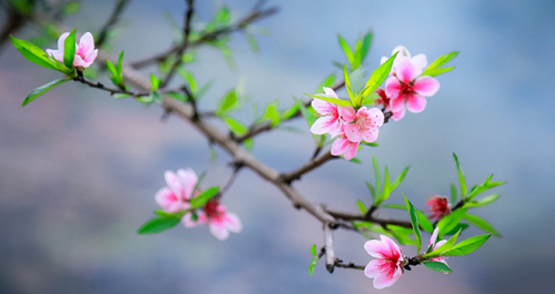 Văn khấn ông công ông táo, Bài cúng Ông Công Ông Táo, khấn ông công ông táo, Cúng Ông Công Ông Táo, văn khấn ông công ông táo 2022, lễ cúng ông công ông táo