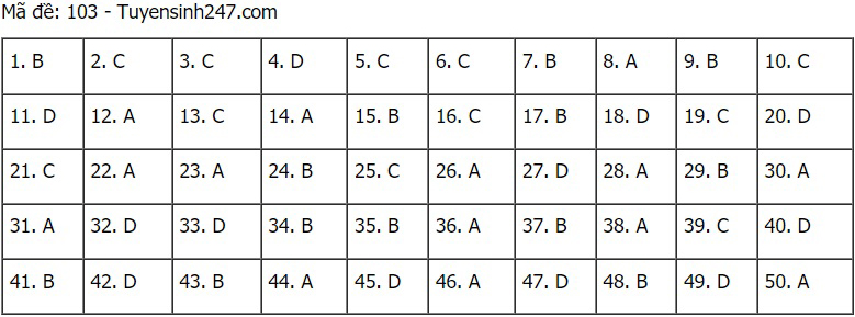 Đáp án Toán, Đáp án môn Toán, Đáp án Toán THPT Quốc gia 2021, Đáp án Toán 2021, Đáp án toán THPT Quốc gia 2021, Đáp án 24 mã đề môn Toán, Đáp án Toán tất cả mã đề