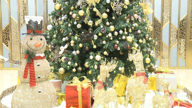 Thắp sáng cây thông Noel khởi động mùa lễ hội 